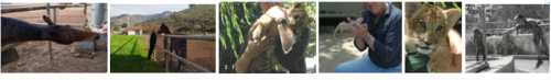 ANIMAL RESCUE CENTER SPONSOR