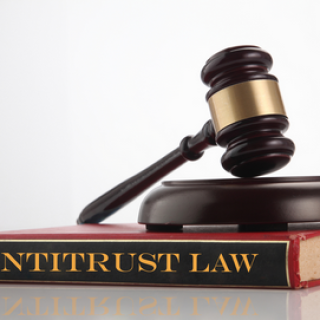 ANTITRUST-LAW-WITNESS