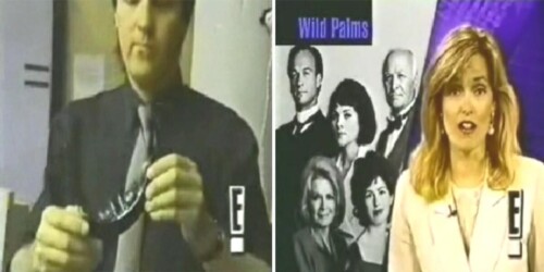 palms