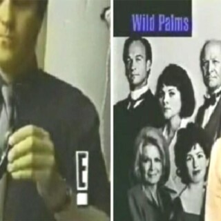 palms